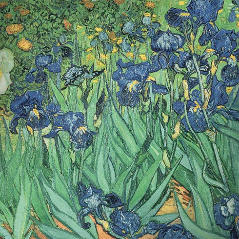 Van Gogh - Irises by Van Gogh Dell Latitude Skin